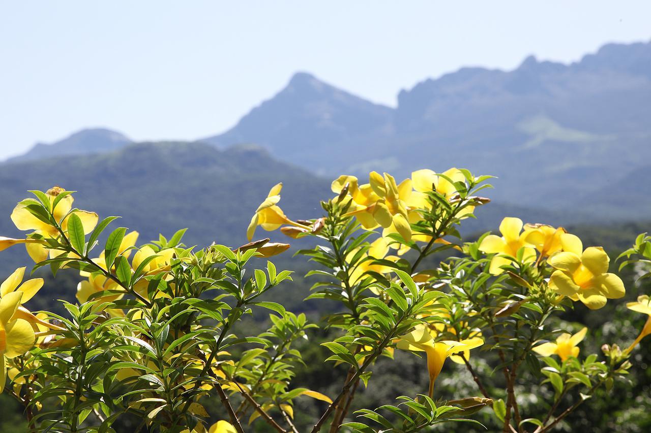 Bio Veda Ayurvedic Hill Resort Kovillur Екстер'єр фото